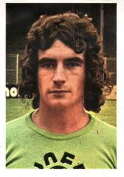 1977 FKS Euro Soccer Stars '77 #46 D. Rocheteau Front