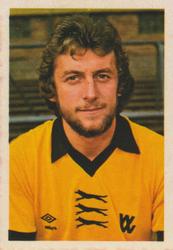 1980-81 FKS Publishers Soccer-81 #301 Peter Daniel Front
