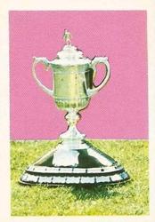 1980-81 FKS Publishers Soccer-81 #356 Scottish Cup Trophy Front