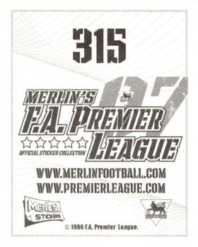2006-07 Merlin F.A. Premier League 2007 #315 Fabio Rochemback Back