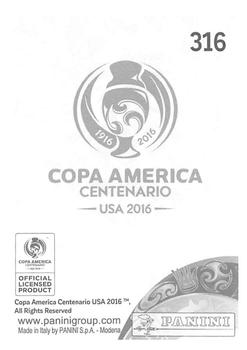 2016 Panini Copa America Centenario Stickers #316 Ever Banega Back