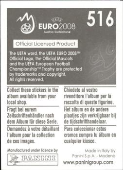 2008 Panini UEFA Euro 2008 Stickers #516 Fernando Torres Back