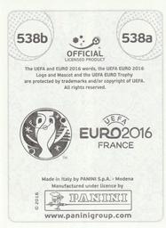 2016 Panini UEFA Euro Stickers #538a / 538b Darren Randolph / Seamus Coleman Back