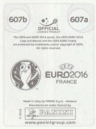 2016 Panini UEFA Euro Stickers #607a / 607b Aron Gunnarsson / Birkir Bjarnason Back