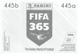 2019 Panini FIFA 365 (Grey Back) #445 Japan Trophy Back