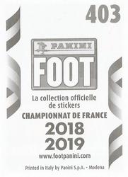 2018-19 Panini FOOT #403 Ludovic Baal Back