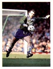 1990 Panini Football The All-Time Greats (1920-1990) #66 Neville Southall Front