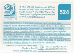 2010 Panini FIFA World Cup Stickers (Blue Back) #524 Côte D'ivoire - Team Back