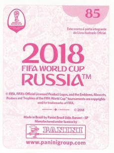 2018 Panini FIFA World Cup: Russia 2018 Stickers (Pink Backs, Made in Brazil) #85 Martin Caceres Back