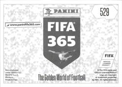 2018 Panini FIFA 365 Stickers #529 Mamelodi Sundowns  Team Back