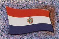 2007 Panini Copa América #227 Flag of Paraguay Front