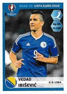 2015 Panini Road to UEFA Euro 2016 Stickers #31 Vedad Ibisevic Front