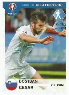 2015 Panini Road to UEFA Euro 2016 Stickers #290 Bostjan Cesar Front
