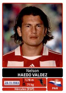 2011 Panini Copa América #155 Nelson Haedo Valdez Front
