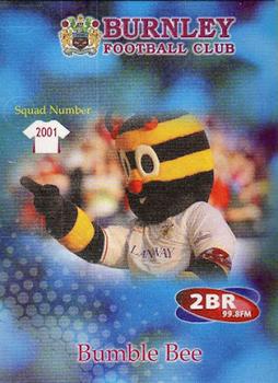 2001-02 Burnley F.C. #13 Bumble Bee Front