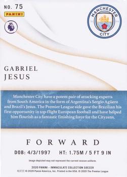 2020 Panini Immaculate Collection - Bronze #75 Gabriel Jesus Back