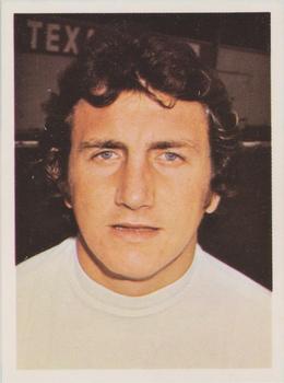 1974-75 Panini Top Sellers #89 Roy McFarland Front