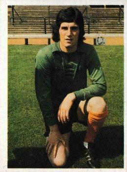 1976-77 Panini Football 77 (UK) #295 Phil Parkes Front