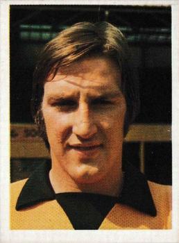1976-77 Panini Football 77 (UK) #301 Steve Daley Front