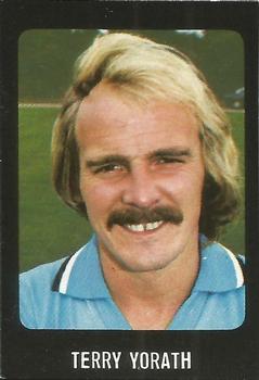 1979-80 Transimage Football Stickers #71 Terry Yorath Front