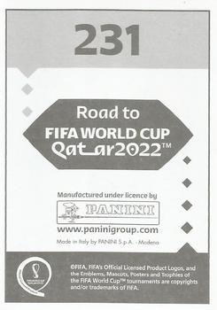 2021 Panini Road to FIFA World Cup Qatar 2022 Stickers (