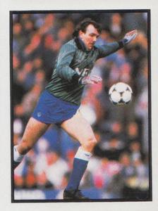 1987-88 Daily Mirror/Sunday Mirror Soccer 88 Stickers #73 Neville Southall Front