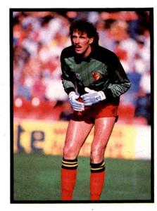 1987-88 Daily Mirror/Sunday Mirror Soccer 88 Stickers #255 Tony Coton Front
