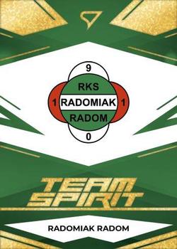 2023-24 SportZoo PKO BP Ekstraklasa Seria 1 - Team Spirit Gold Party #TS-29 Logo Front