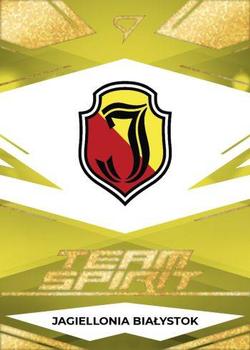 2023-24 SportZoo PKO BP Ekstraklasa Seria 1 - Team Spirit Gold Party #TS-41 Logo Front