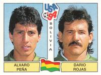 1994 Panini World Cup (UK and Eire Edition, Green Backs) #222 Alvaro Pena / Dario Rojas Front