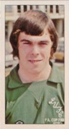 1974 Barratt World Cup Stars #3 David Harvey Front