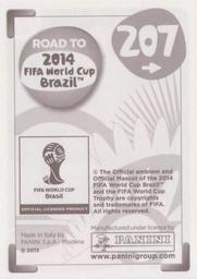 2013 Panini Road to 2014 FIFA World Cup Brazil Stickers #207 Victor Caceres Back