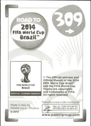 2013 Panini Road to 2014 FIFA World Cup Brazil Stickers #309 Rafael van der Vaart Back