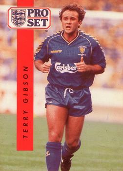 1990-91 Pro Set #248 Terry Gibson Front