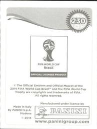 2014 Panini FIFA World Cup Brazil Stickers #230 Didier Zokora Back