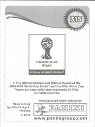 2014 Panini FIFA World Cup Brazil Stickers #315 Daniel Sturridge Back