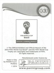 2014 Panini FIFA World Cup Brazil Stickers #443 Zvjezdan Misimovic Back