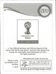 2014 Panini FIFA World Cup Brazil Stickers #570 Daniel Van Buyten Back