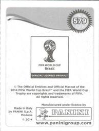 2014 Panini FIFA World Cup Brazil Stickers #579 Dries Mertens Back
