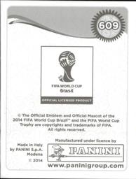 2014 Panini FIFA World Cup Brazil Stickers #609 Aleksandr Anyukov Back