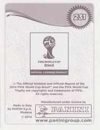 2014 Panini FIFA World Cup Brazil Stickers #231 Yaya Toure Back