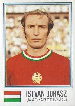 1974 Panini FIFA World Cup Munich Stickers #387 Istvan Juhasz Front