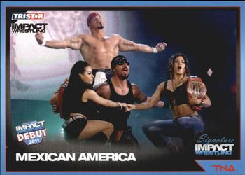 2011 TriStar Signature Impact - Silver #75 Mexican America Front