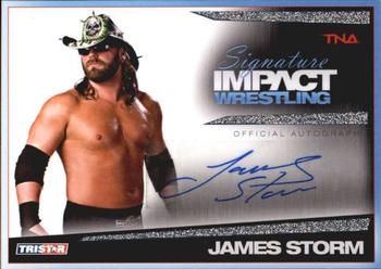 2011 TriStar Signature Impact - Silver Autographs #S39 James Storm Front