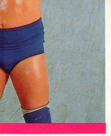 1990 Merlin WWF Superstars Stickers #56 Hacksaw Jim Duggan Puzzle Front