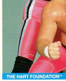 1990 Merlin WWF Superstars Stickers #62 The Hart Foundation Puzzle Front