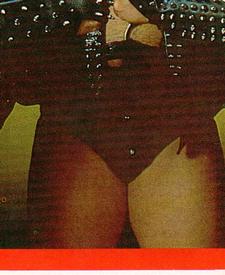 1990 Merlin WWF Superstars Stickers #80 Demolition Puzzle Front