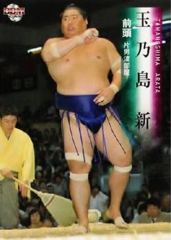 2008 BBM Sumo #21 Tamanoshima Arata Front