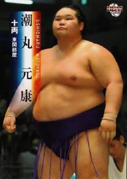 2008 BBM Sumo #55 Ushiomaru Motoyasu Front