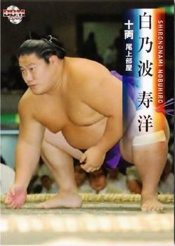 2008 BBM Sumo #61 Shirononami Nobuhiro Front